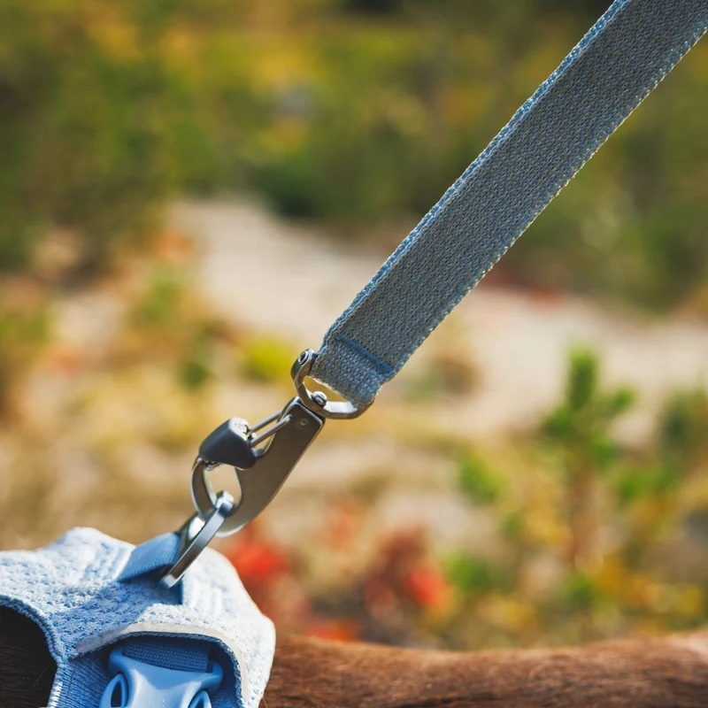 Ruffwear Front Range Flex Leash – Reflektierende Premium-Hundeleine mit weichem Griff für maximale Kontrolle und Komfort bei jedem Abenteuer