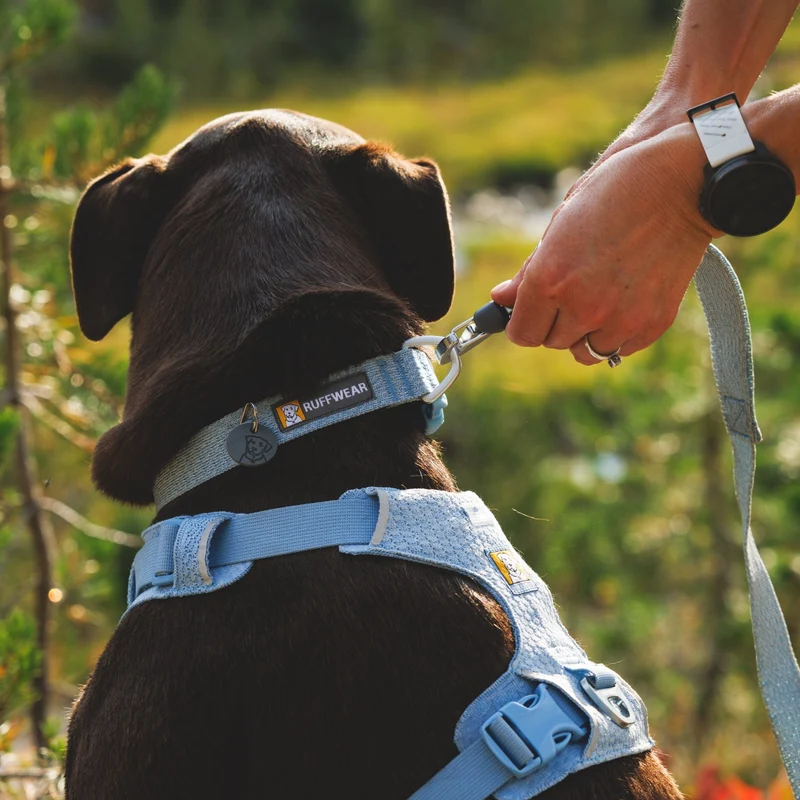 Ruffwear Front Range Flex Leash – Reflektierende Premium-Hundeleine mit weichem Griff für maximale Kontrolle und Komfort bei jedem Abenteuer
