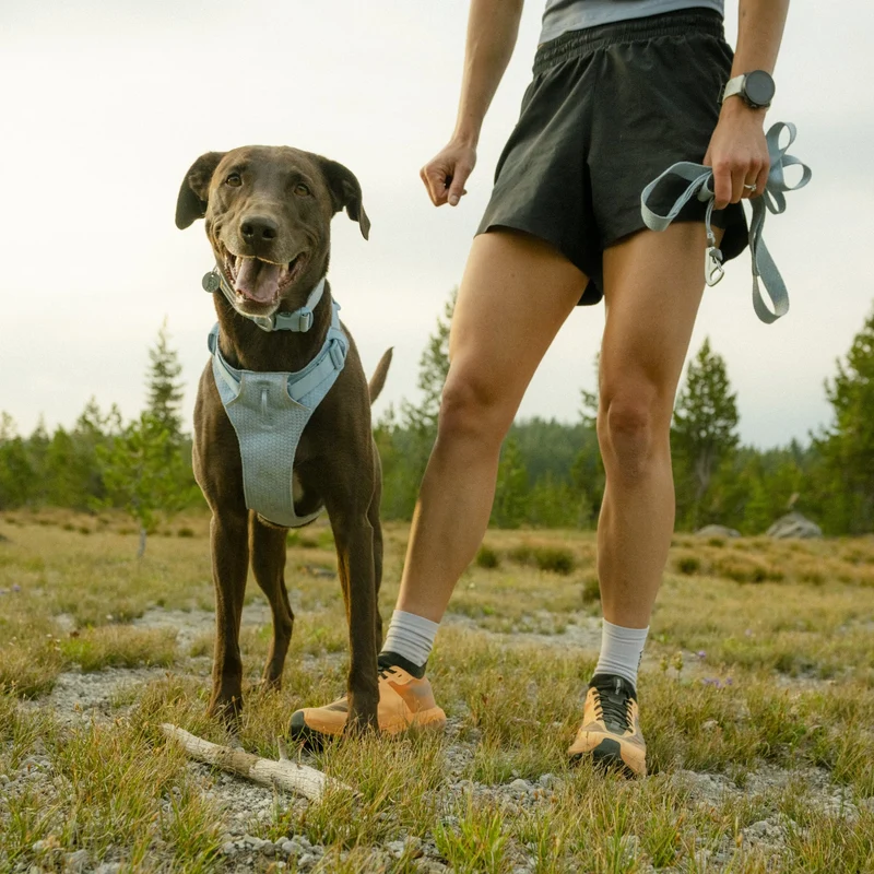 Ruffwear Front Range Flex Leash – Reflektierende Premium-Hundeleine mit weichem Griff für maximale Kontrolle und Komfort bei jedem Abenteuer
