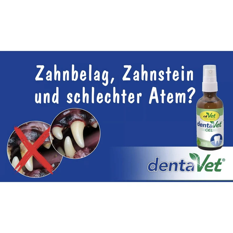 cdVet dentaVet Öl – Zahnpflege für Hunde & Katzen, sanfte Maulhygiene ohne Bürsten, ideal für sensible Tiere