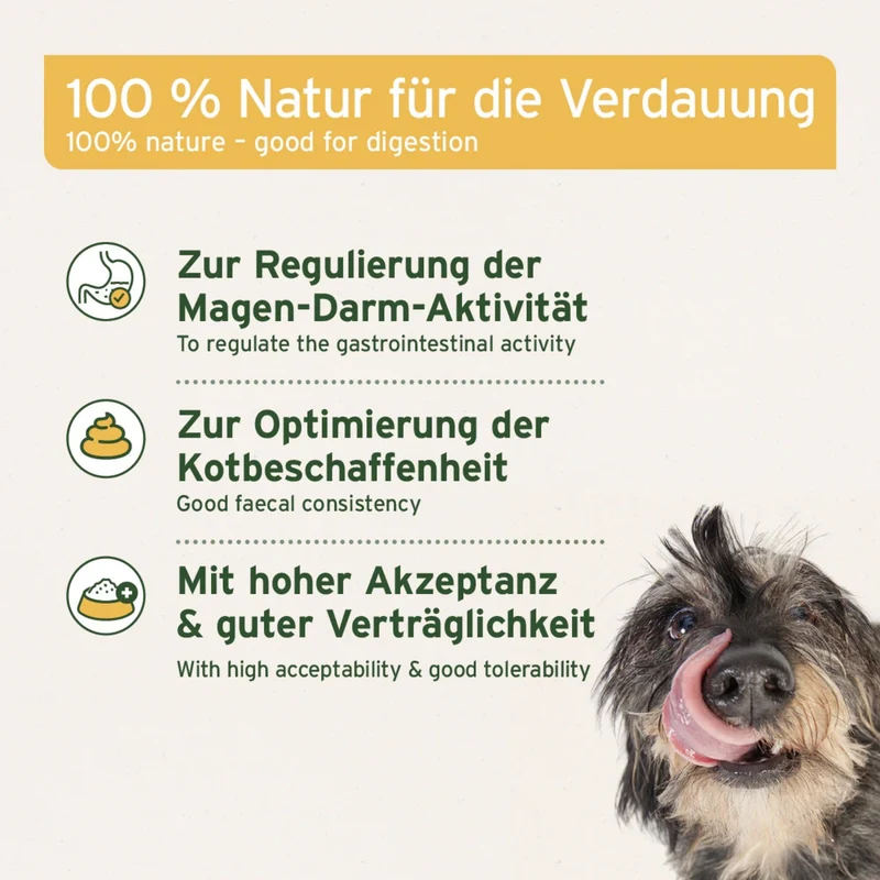 AniForte Naturmoor Fresshilfe für Hunde & Katzen – Natürlicher Appetitanreger für Verdauung, Immunsystem & Vitalität