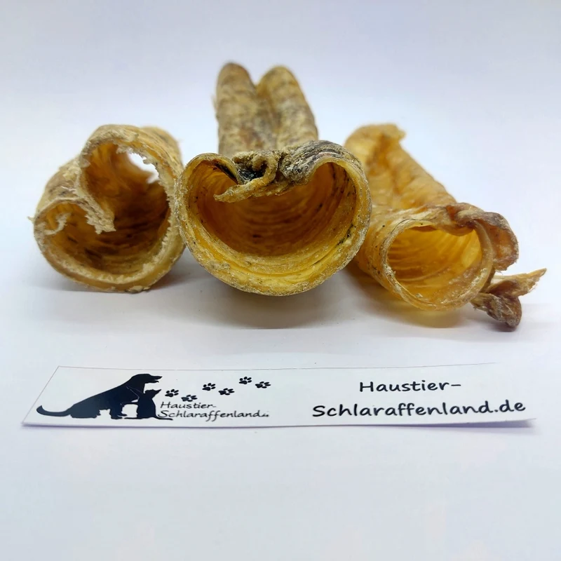Kamel-Strossen, kurz
