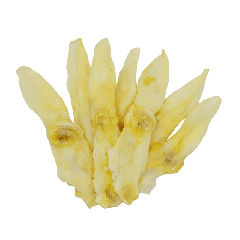 Kaninchen-Ohren, weiß