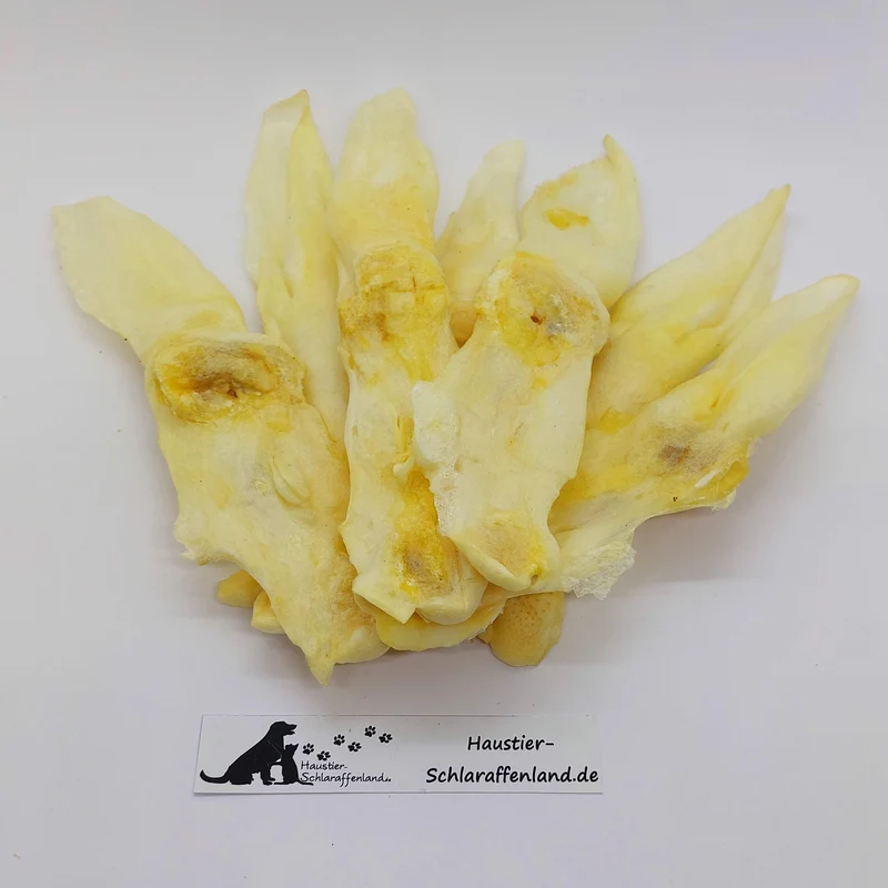 Kaninchen-Ohren, weiß