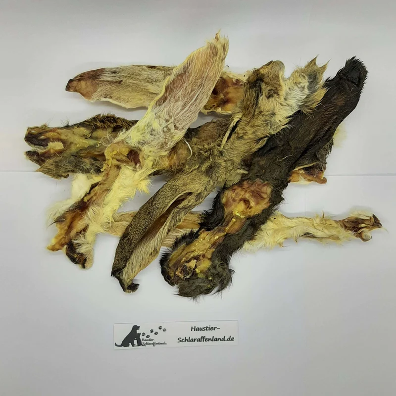 Kaninchen-Ohren mit Fell
