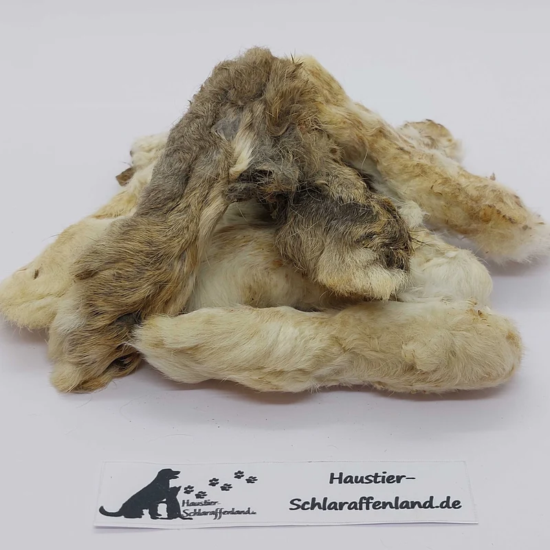 Kaninchen-Pfoten mit Fell