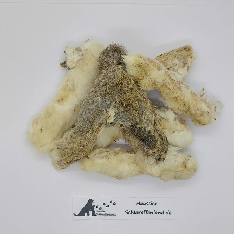 Kaninchen-Pfoten mit Fell