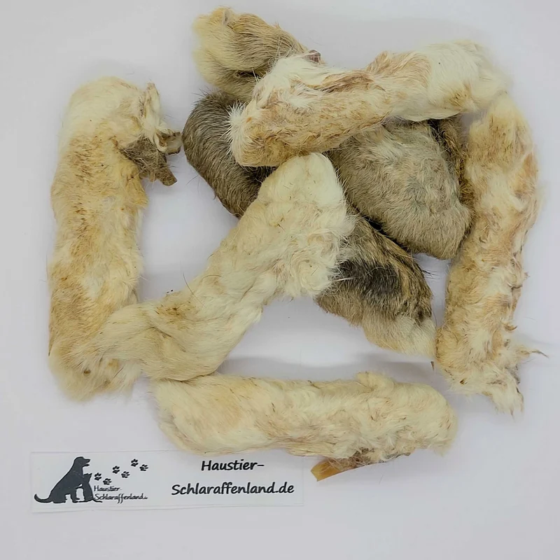 Kaninchen-Pfoten mit Fell