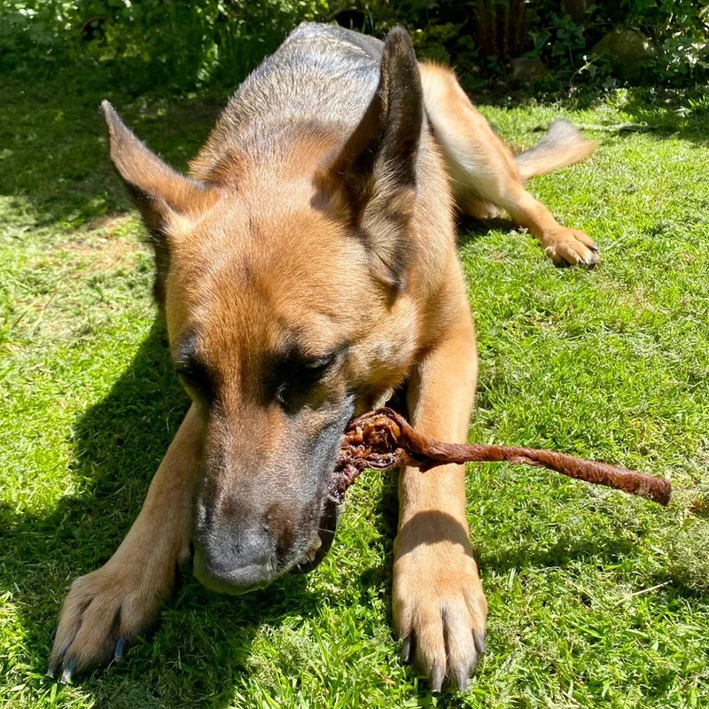 Pferde-Fellstreifen, lang
