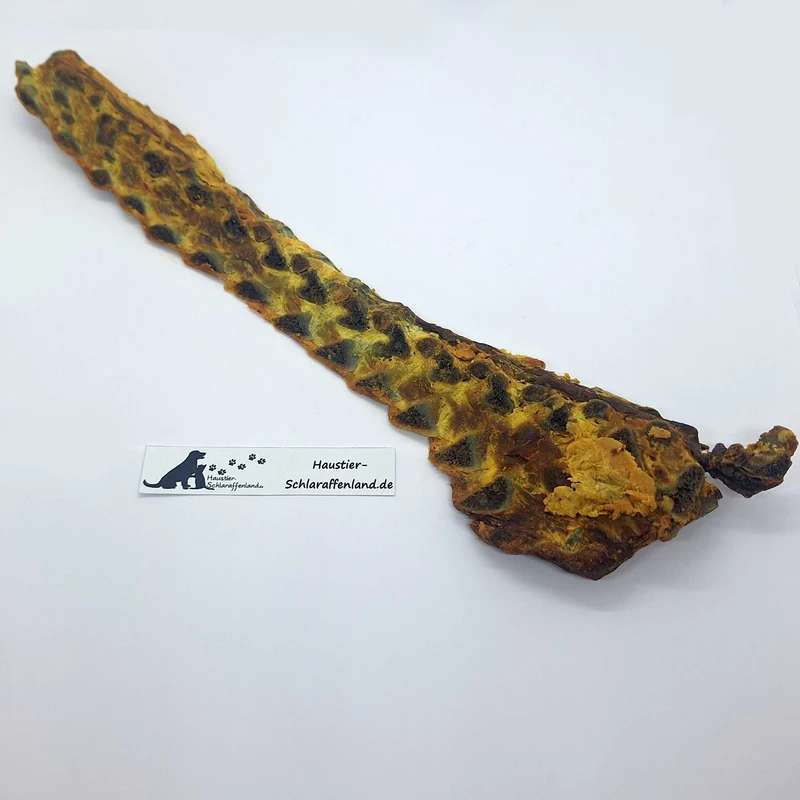 Lamm-Lachsknochen