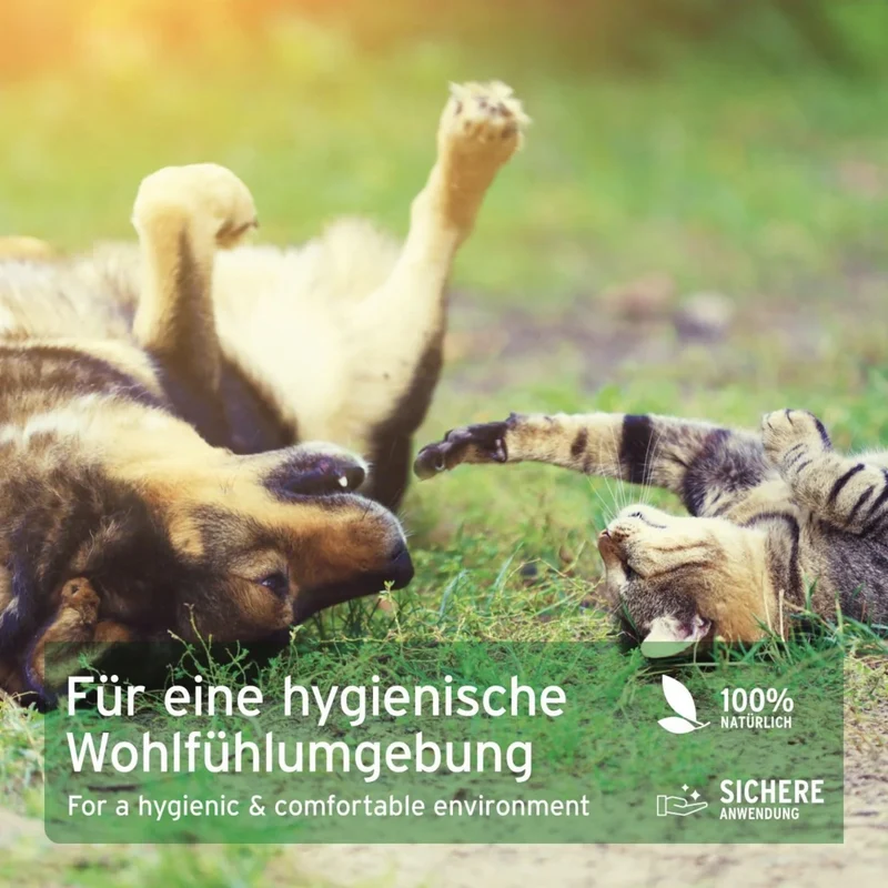 AniForte Kieselgur Pulver – Natürliche Hygiene gegen Ungeziefer für Hunde & Katzen
