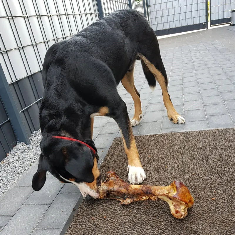 Pferde-Jumboknochen XXL