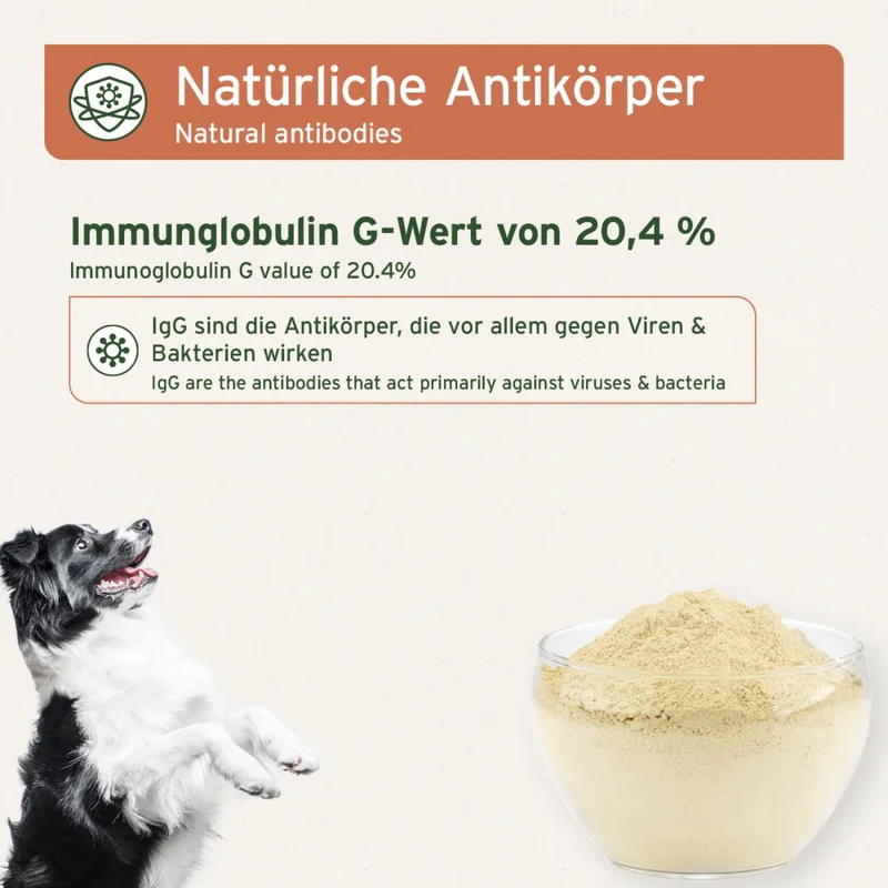 AniForte Premium Colostrum – Natürliche Immunstärkung & Darmgesundheit für Hunde