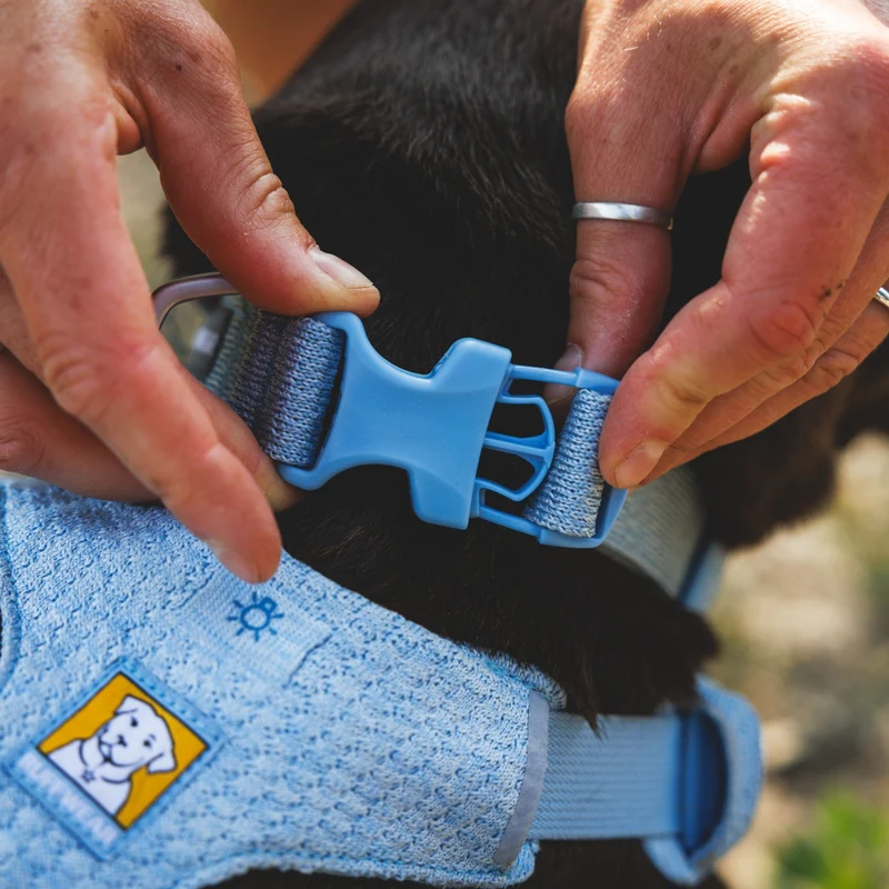Ruffwear Front Range Flex Collar – Reflektierendes Hundehalsband mit innovativer Stricktechnologie für maximalen Komfort bei Abenteuern