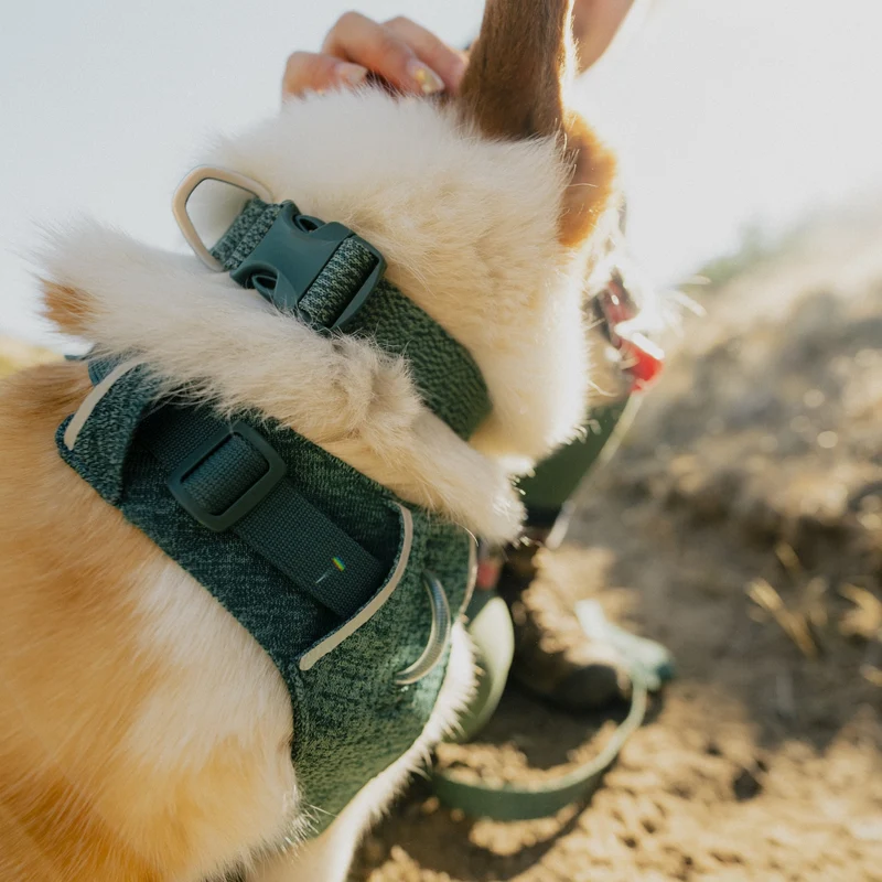 Ruffwear Front Range Flex Collar – Reflektierendes Hundehalsband mit innovativer Stricktechnologie für maximalen Komfort bei Abenteuern