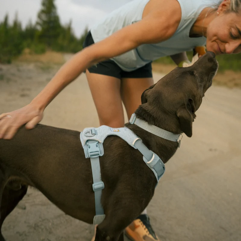 Ruffwear Front Range Flex Collar – Reflektierendes Hundehalsband mit innovativer Stricktechnologie für maximalen Komfort bei Abenteuern