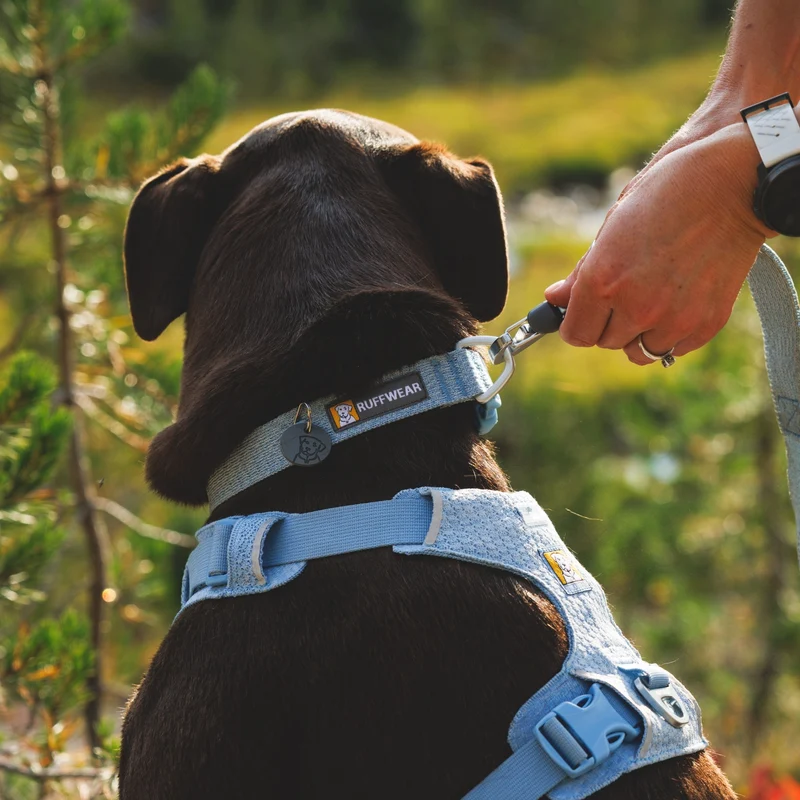 Ruffwear Front Range Flex Collar – Reflektierendes Hundehalsband mit innovativer Stricktechnologie für maximalen Komfort bei Abenteuern