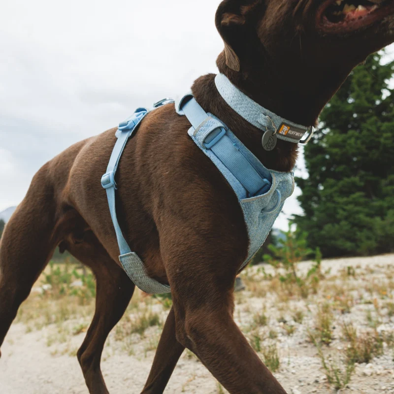 Ruffwear Front Range Flex Collar – Reflektierendes Hundehalsband mit innovativer Stricktechnologie für maximalen Komfort bei Abenteuern