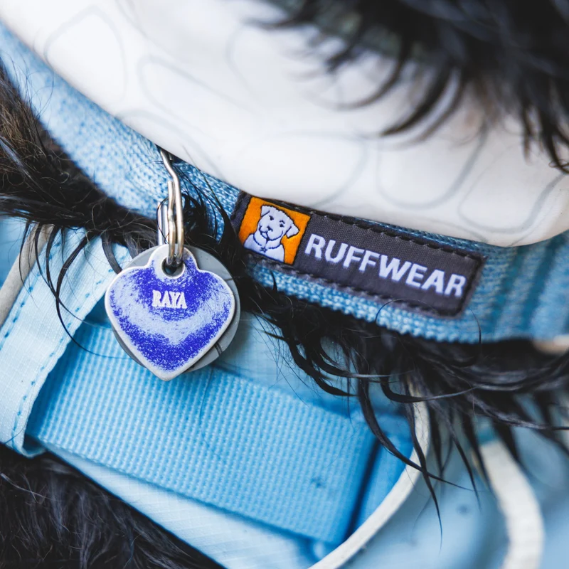 Ruffwear Front Range Flex Collar – Reflektierendes Hundehalsband mit innovativer Stricktechnologie für maximalen Komfort bei Abenteuern