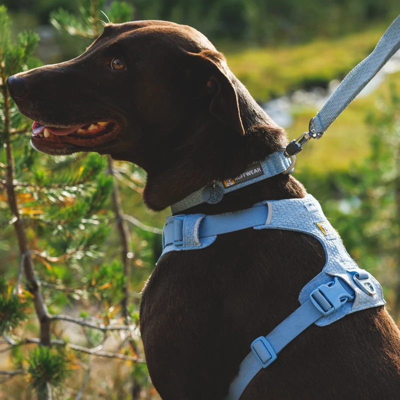 Ruffwear Front Range Flex Collar – Reflektierendes Hundehalsband mit innovativer Stricktechnologie für maximalen Komfort bei Abenteuern