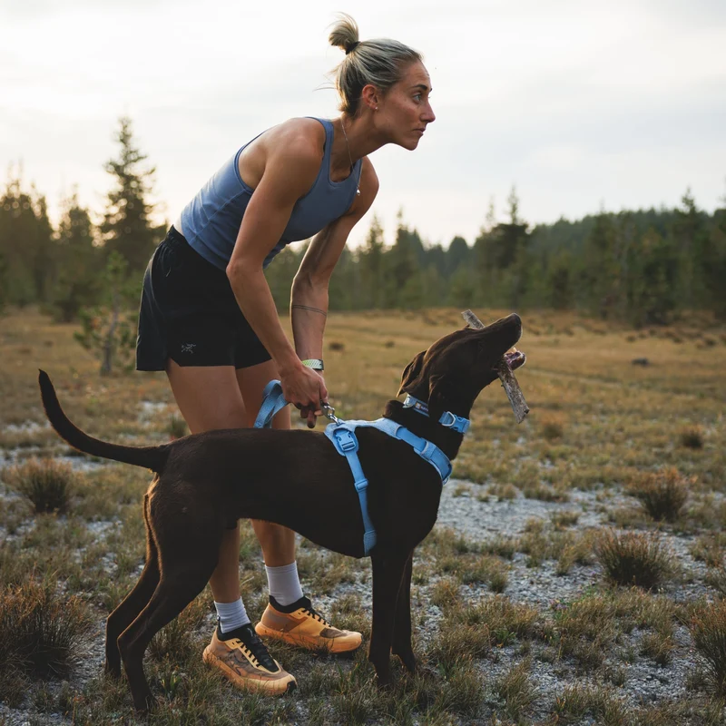 Ruffwear Front Range Flex Collar – Reflektierendes Hundehalsband mit innovativer Stricktechnologie für maximalen Komfort bei Abenteuern