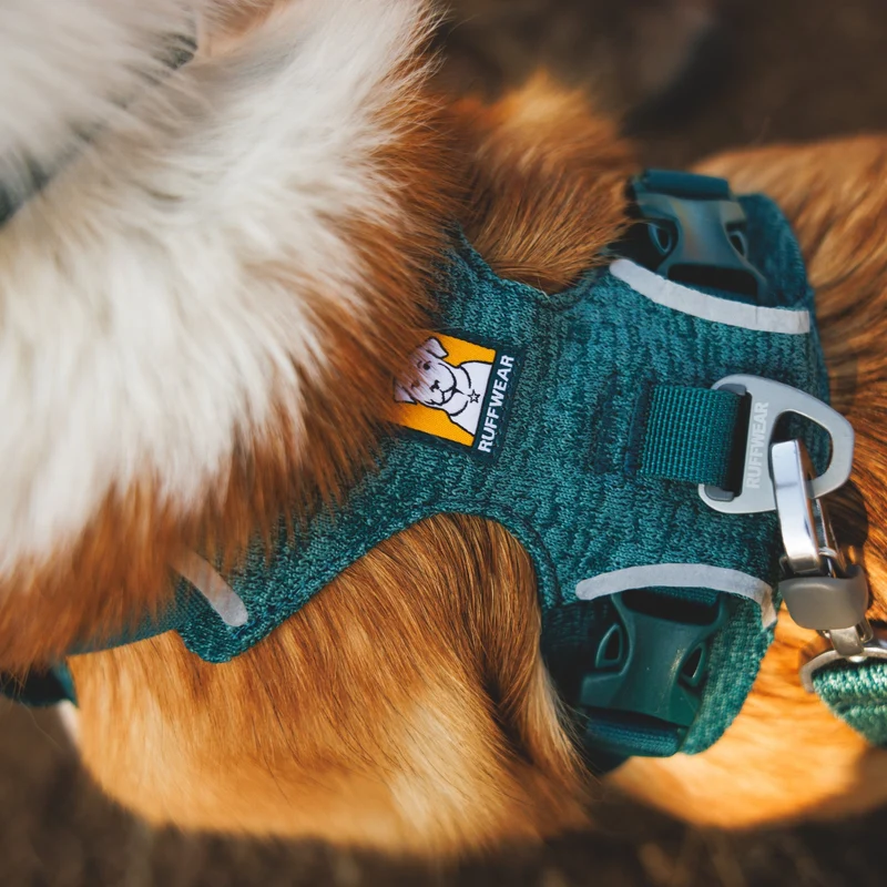 Ruffwear Front Range Flex Harness – Atmungsaktives Hundegeschirr in Stricktechnologie mit Y-Schnitt für maximale Bewegungsfreiheit und Komfort