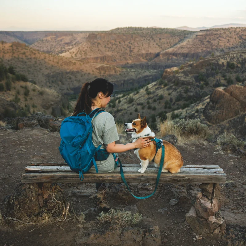 Ruffwear Front Range Flex Harness – Atmungsaktives Hundegeschirr in Stricktechnologie mit Y-Schnitt für maximale Bewegungsfreiheit und Komfort