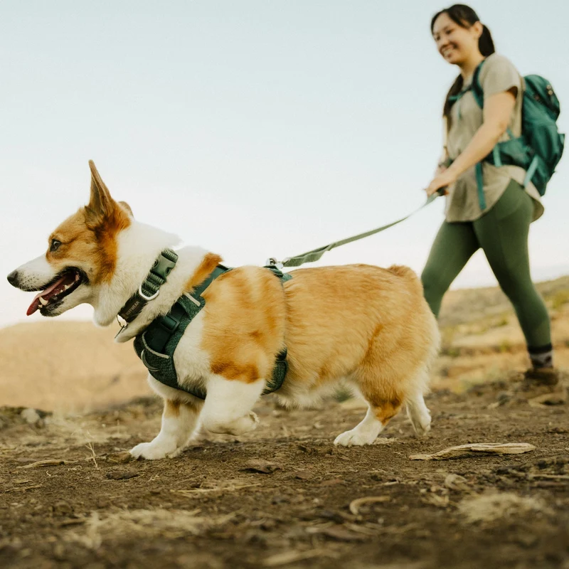 Ruffwear Front Range Flex Harness – Atmungsaktives Hundegeschirr in Stricktechnologie mit Y-Schnitt für maximale Bewegungsfreiheit und Komfort