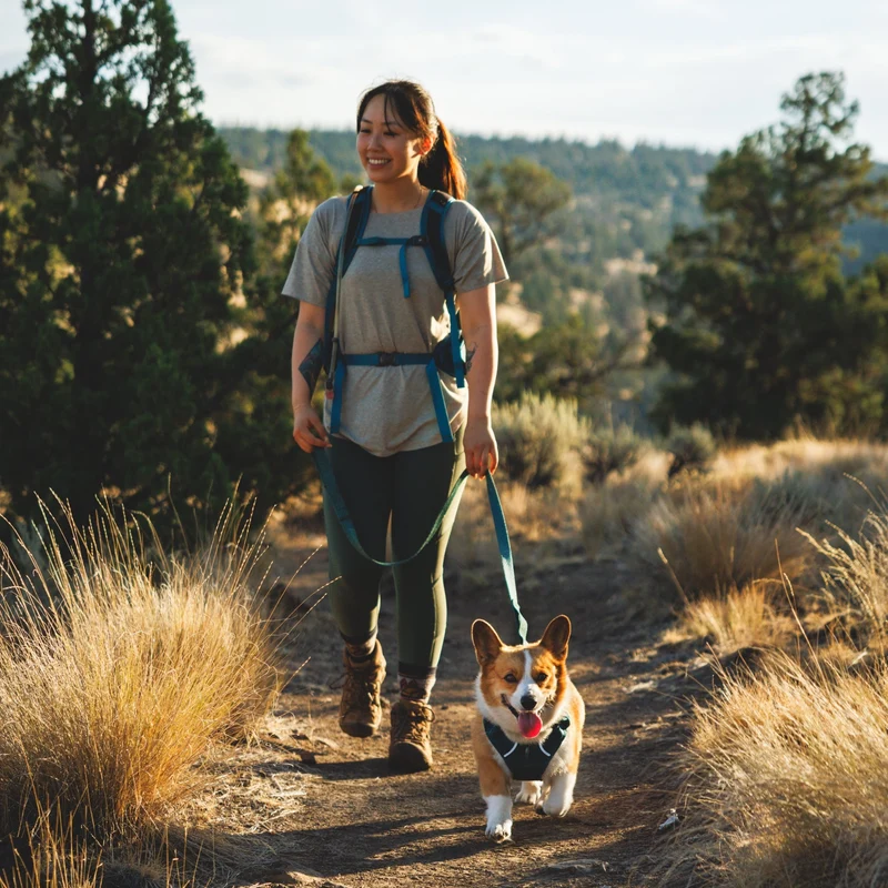 Ruffwear Front Range Flex Harness – Atmungsaktives Hundegeschirr in Stricktechnologie mit Y-Schnitt für maximale Bewegungsfreiheit und Komfort