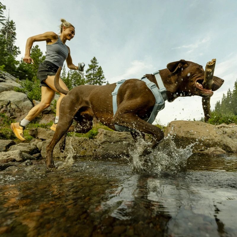 Ruffwear Front Range Flex Harness – Atmungsaktives Hundegeschirr in Stricktechnologie mit Y-Schnitt für maximale Bewegungsfreiheit und Komfort