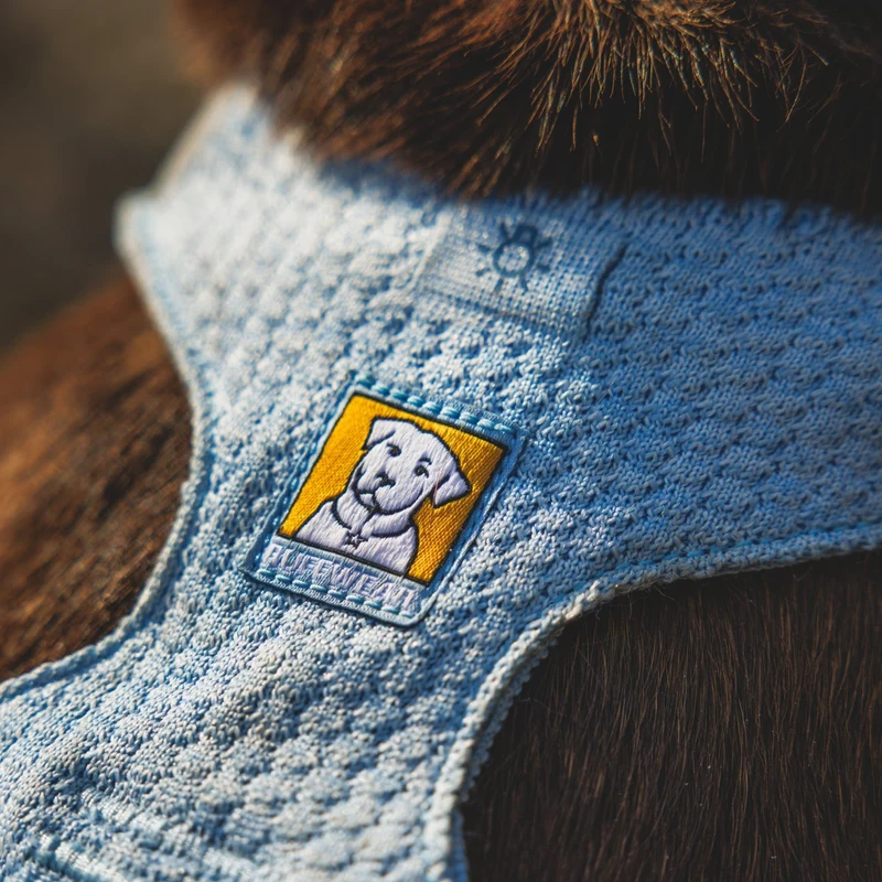 Ruffwear Front Range Flex Harness – Atmungsaktives Hundegeschirr in Stricktechnologie mit Y-Schnitt für maximale Bewegungsfreiheit und Komfort