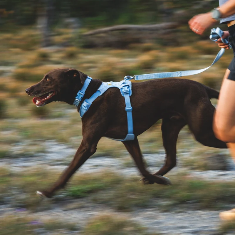 Ruffwear Front Range Flex Harness – Atmungsaktives Hundegeschirr in Stricktechnologie mit Y-Schnitt für maximale Bewegungsfreiheit und Komfort
