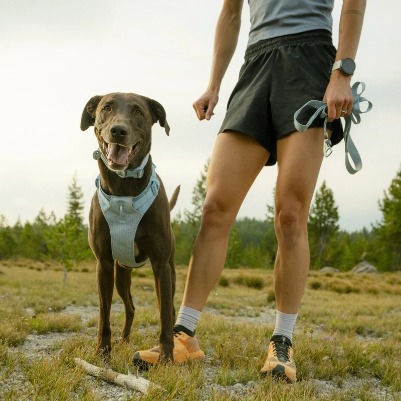 Ruffwear Front Range Flex Harness – Atmungsaktives Hundegeschirr in Stricktechnologie mit Y-Schnitt für maximale Bewegungsfreiheit und Komfort