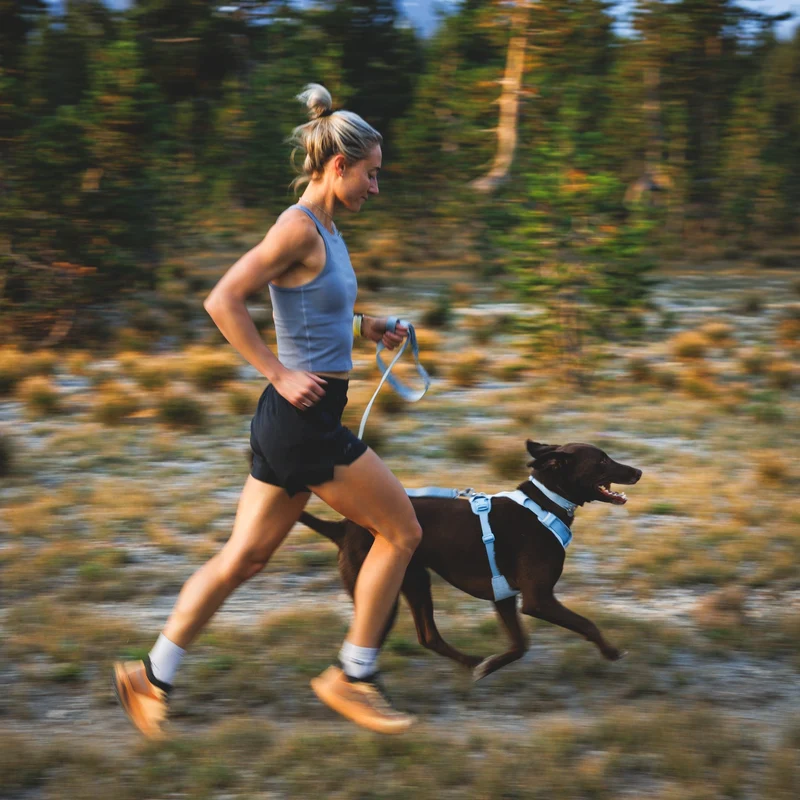 Ruffwear Front Range Flex Harness – Atmungsaktives Hundegeschirr in Stricktechnologie mit Y-Schnitt für maximale Bewegungsfreiheit und Komfort