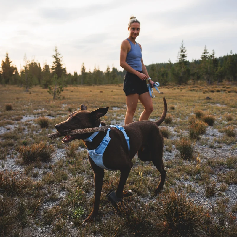 Ruffwear Front Range Flex Harness – Atmungsaktives Hundegeschirr in Stricktechnologie mit Y-Schnitt für maximale Bewegungsfreiheit und Komfort