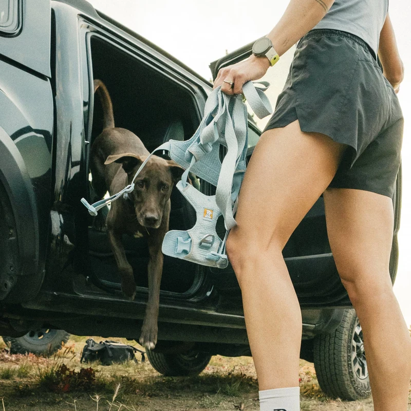 Ruffwear Front Range Flex Harness – Atmungsaktives Hundegeschirr in Stricktechnologie mit Y-Schnitt für maximale Bewegungsfreiheit und Komfort