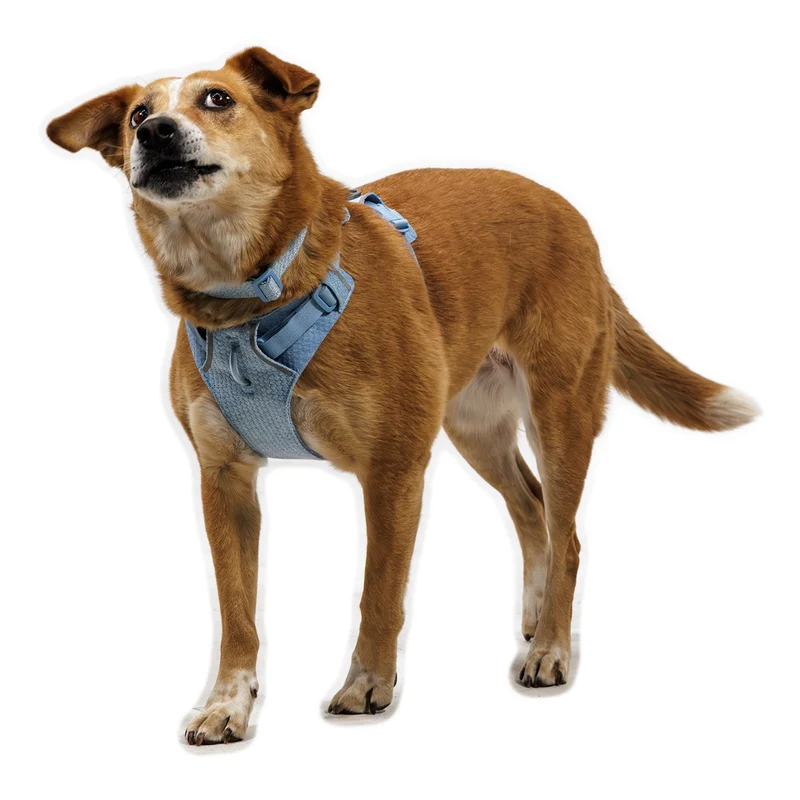 Ruffwear Front Range Flex Harness – Atmungsaktives Hundegeschirr in Stricktechnologie mit Y-Schnitt für maximale Bewegungsfreiheit und Komfort