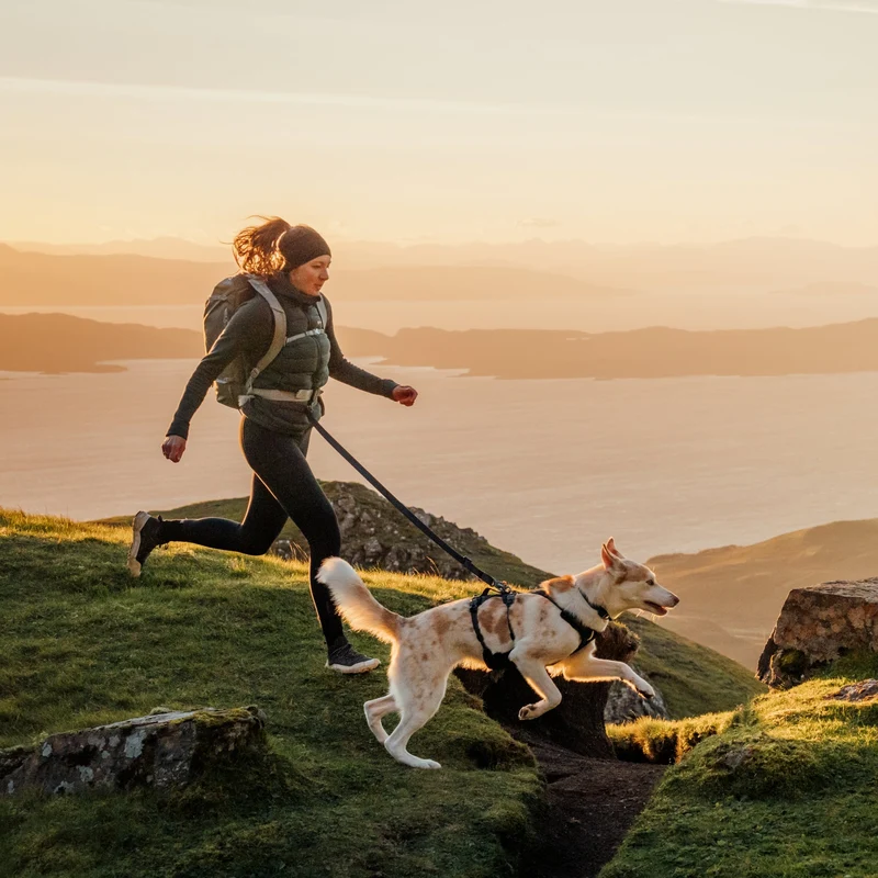 Ruffwear Ridgeline Leash – Reflektierende Hundeleine mit Talon Clip™ für sichere Abenteuer bei Tag und Nacht
