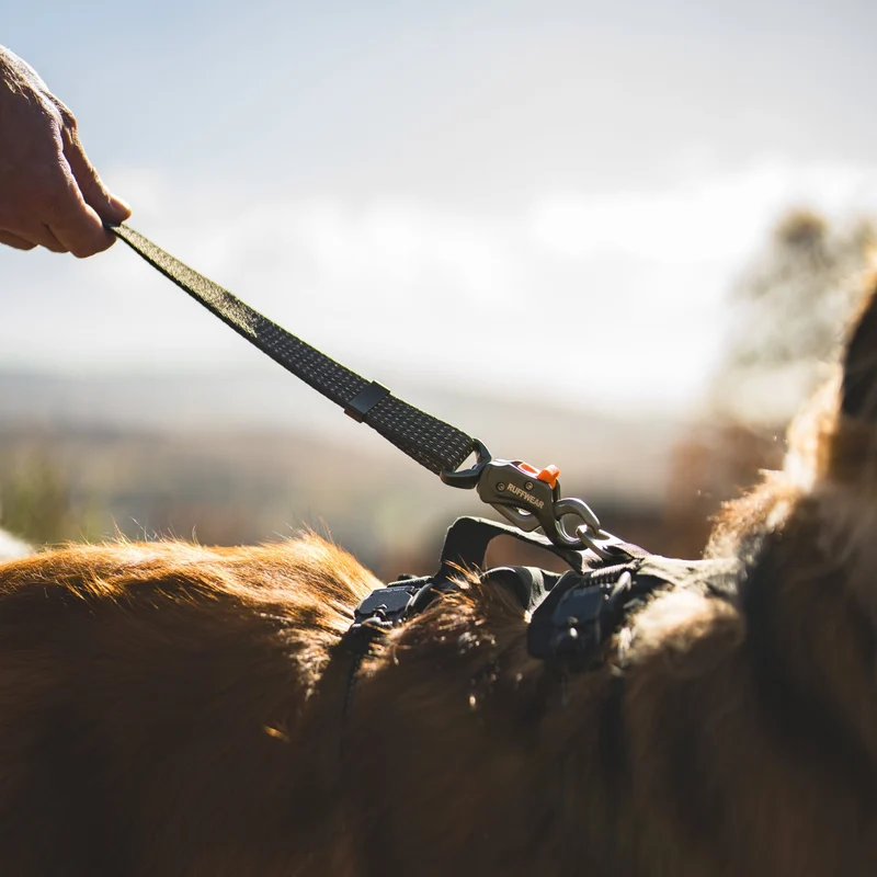 Ruffwear Ridgeline Leash – Reflektierende Hundeleine mit Talon Clip™ für sichere Abenteuer bei Tag und Nacht