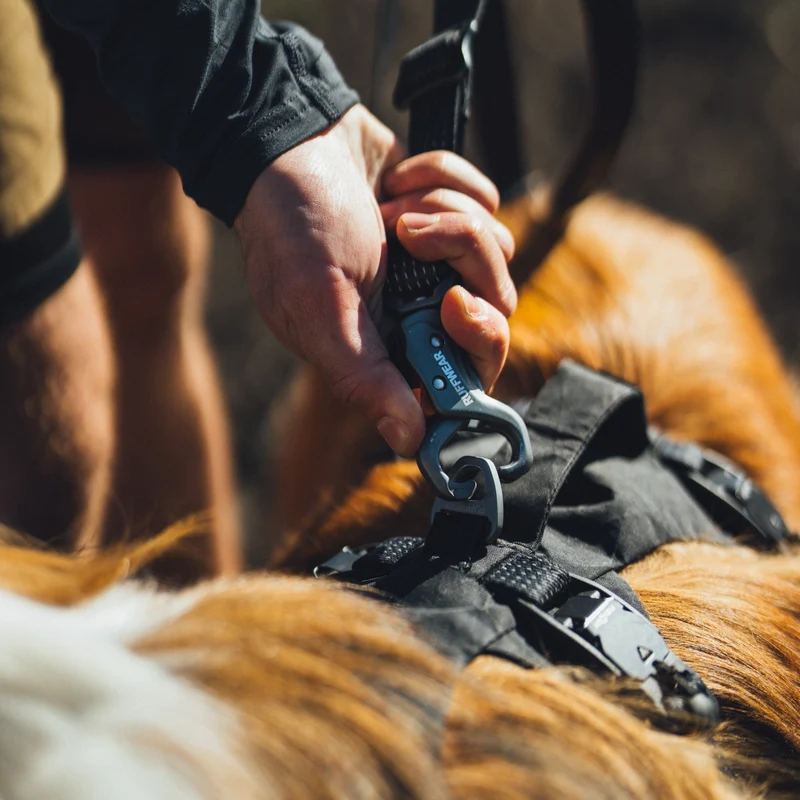 Ruffwear Ridgeline Leash – Reflektierende Hundeleine mit Talon Clip™ für sichere Abenteuer bei Tag und Nacht