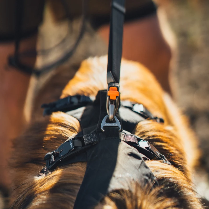 Ruffwear Ridgeline Leash – Reflektierende Hundeleine mit Talon Clip™ für sichere Abenteuer bei Tag und Nacht