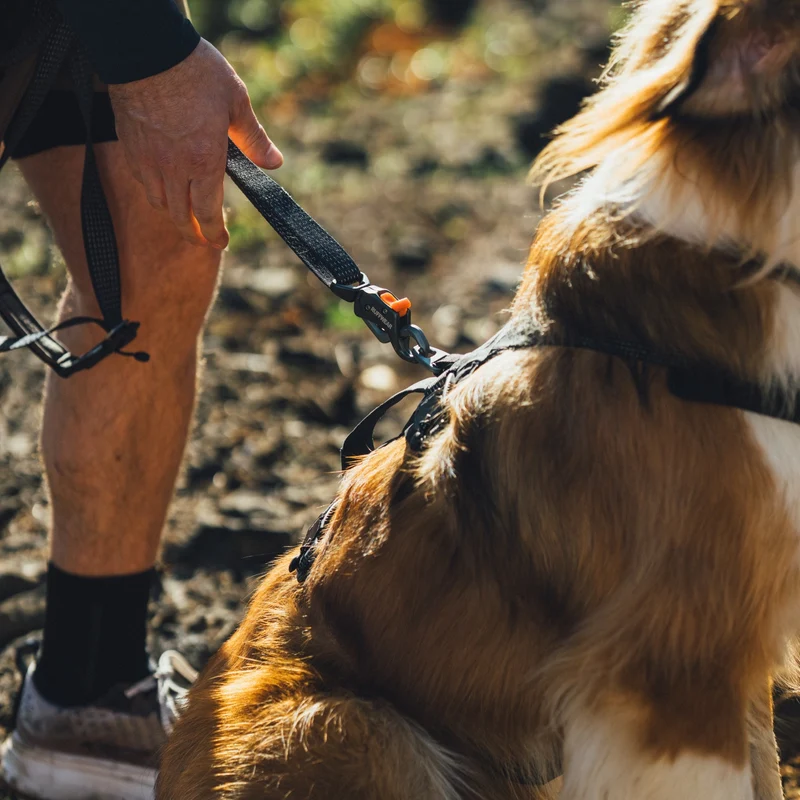 Ruffwear Ridgeline Leash – Reflektierende Hundeleine mit Talon Clip™ für sichere Abenteuer bei Tag und Nacht