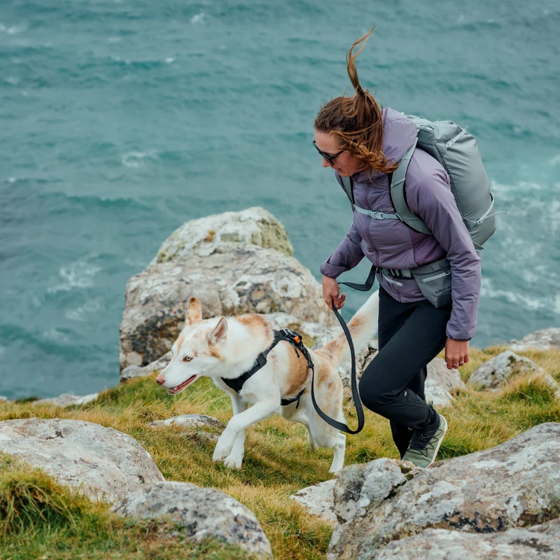 Ruffwear Ridgeline Leash – Reflektierende Hundeleine mit Talon Clip™ für sichere Abenteuer bei Tag und Nacht