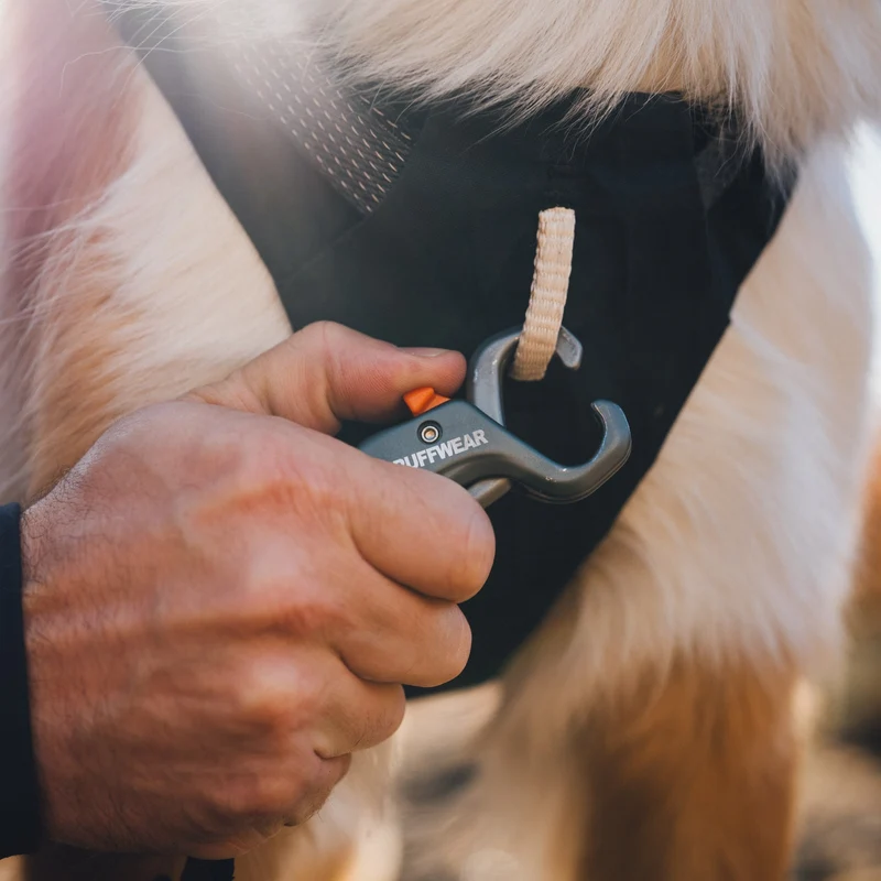 Ruffwear Ridgeline Leash – Reflektierende Hundeleine mit Talon Clip™ für sichere Abenteuer bei Tag und Nacht