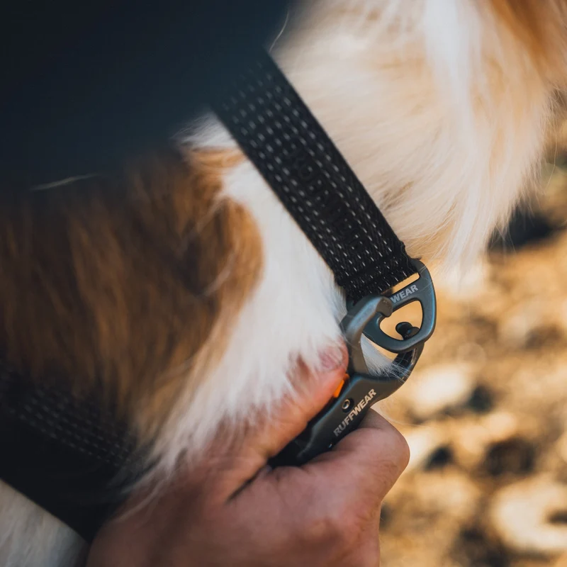 Ruffwear Ridgeline Leash – Reflektierende Hundeleine mit Talon Clip™ für sichere Abenteuer bei Tag und Nacht