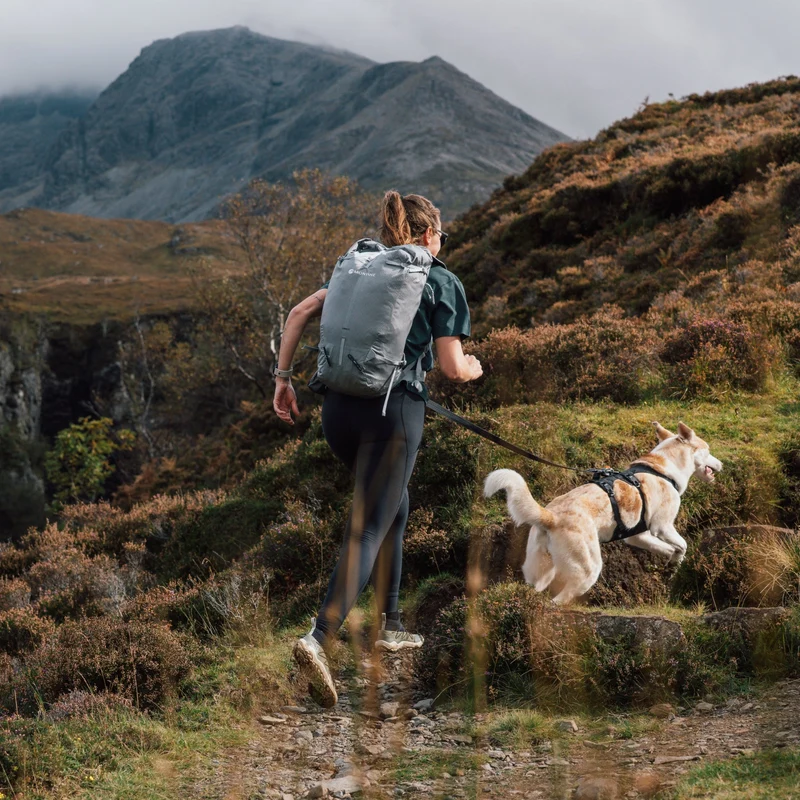 Ruffwear Ridgeline Leash – Reflektierende Hundeleine mit Talon Clip™ für sichere Abenteuer bei Tag und Nacht