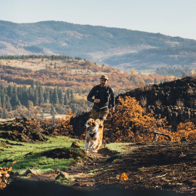 Ruffwear Ridgeline Leash – Reflektierende Hundeleine mit Talon Clip™ für sichere Abenteuer bei Tag und Nacht
