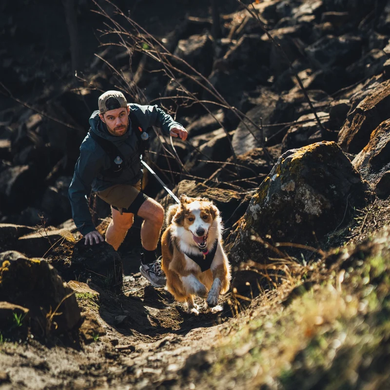 Ruffwear Ridgeline Leash – Reflektierende Hundeleine mit Talon Clip™ für sichere Abenteuer bei Tag und Nacht