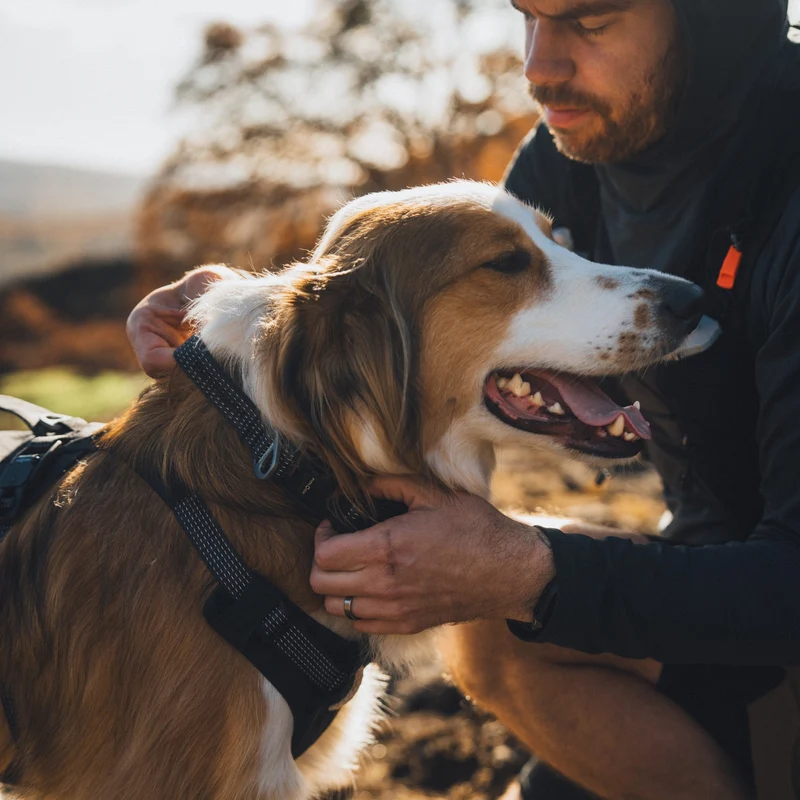 Ruffwear Ridgeline Collar – Reflektierendes Hundehalsband für Abenteuer, Sicherheit & Komfort bei Tag und Nacht