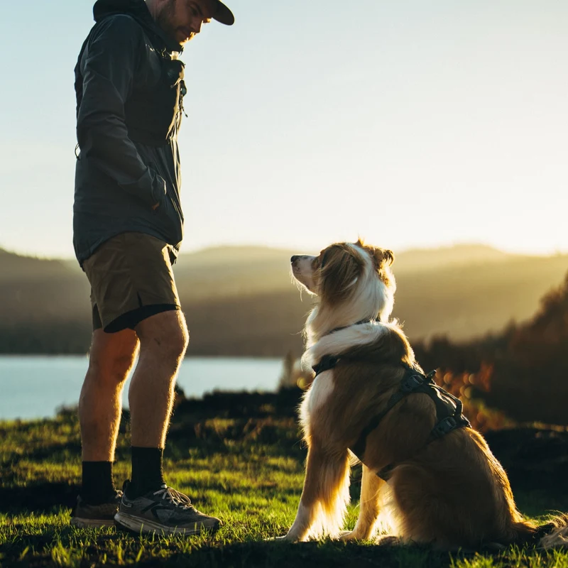 Ruffwear Ridgeline Collar – Reflektierendes Hundehalsband für Abenteuer, Sicherheit & Komfort bei Tag und Nacht